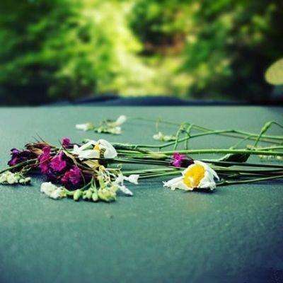 澳客APP下载官网手机app下载